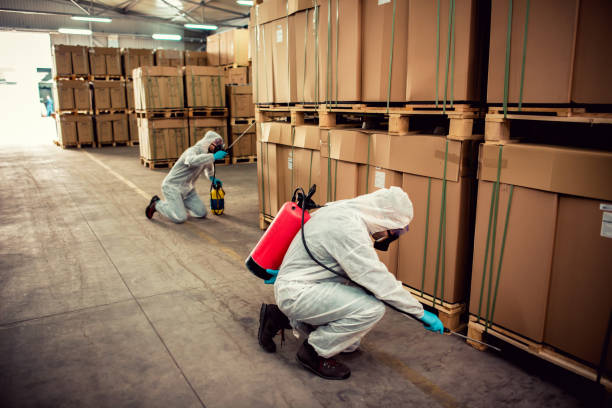 Best Affordable Pest Control Services  in East Pepperell, MA