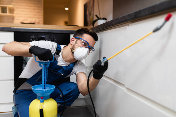 Best Pest Control Near Me  in East Pepperell, MA