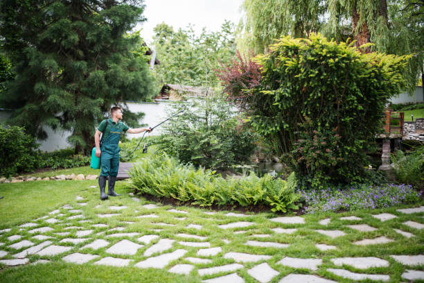 Best Best Pest Control Companies  in East Pepperell, MA