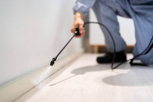 Best Pest Removal Services  in East Pepperell, MA