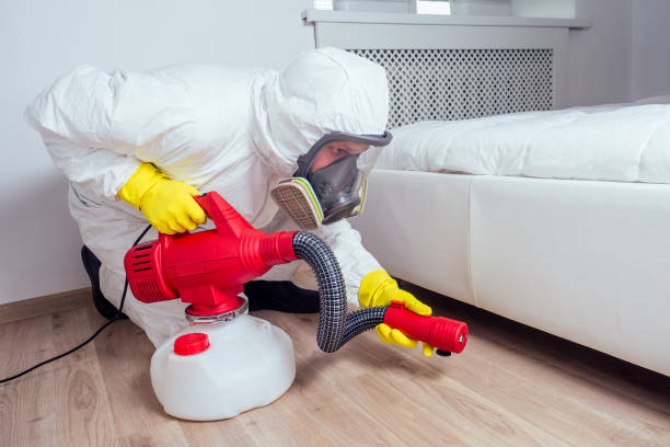 Best Exterminator Services  in East Pepperell, MA